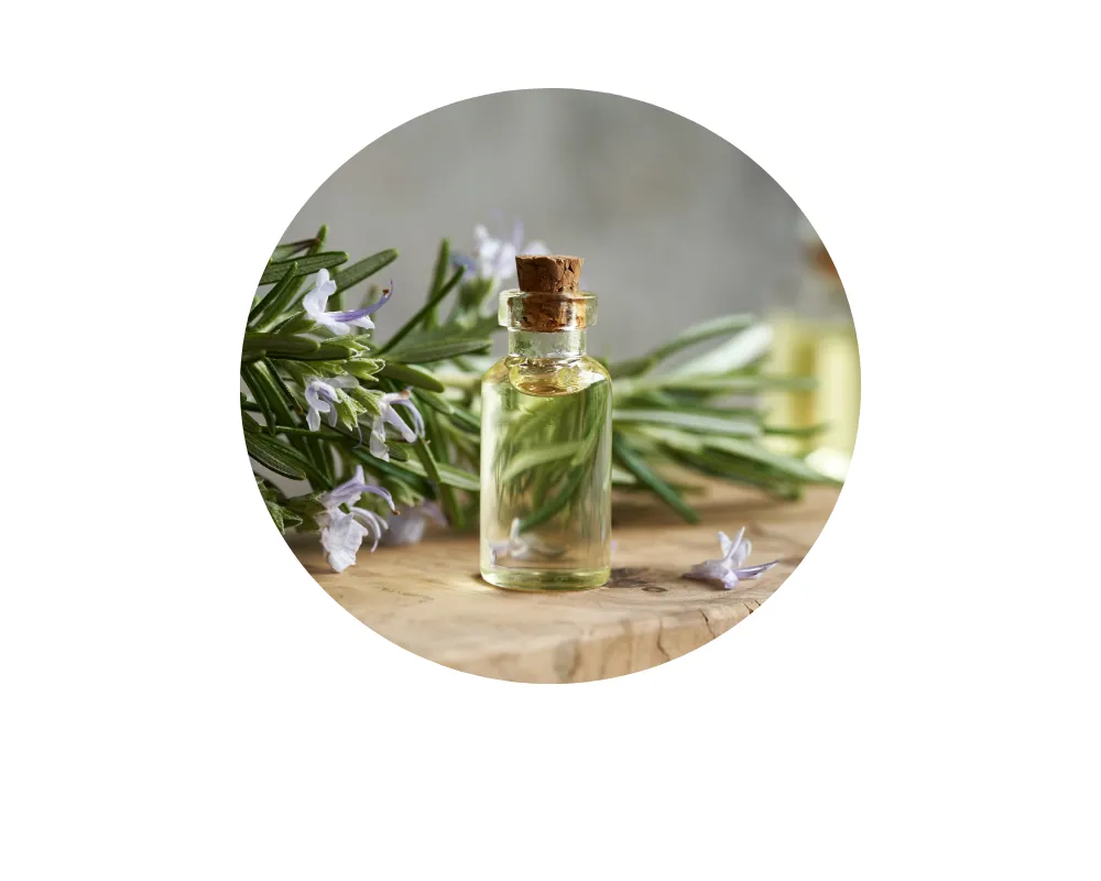 Bitkisel Yağlar & Ekstraktlar 